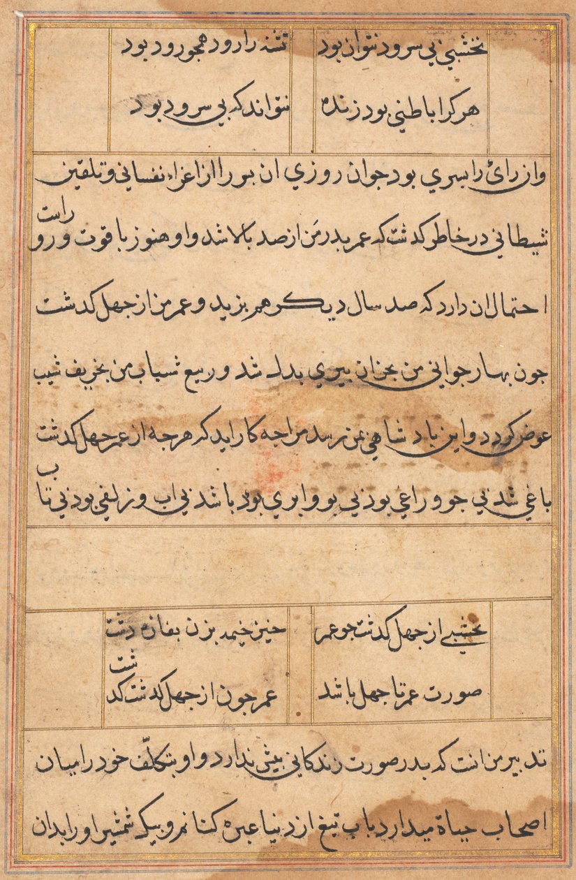 Página de Contos de um Papagaio Tuti-nama: página de texto, c. 1560. de Unbekannt