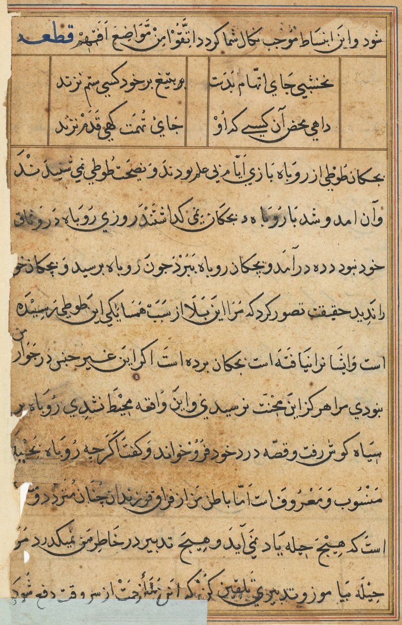Página de Contos de um Papagaio Tuti-nama: página de texto, c. 1560. de Unbekannt