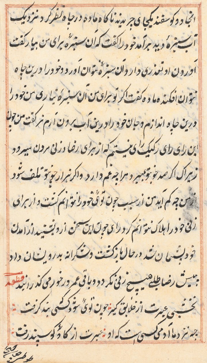 Página de Contos de um Papagaio Tuti-nama: página de texto, c. 1560. de Unbekannt