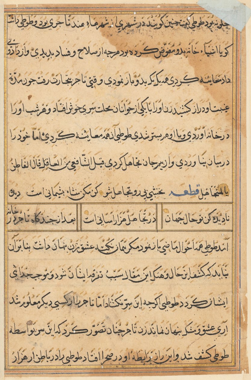 Página de Contos de um Papagaio Tuti-nama: página de texto, c. 1560. de Unbekannt