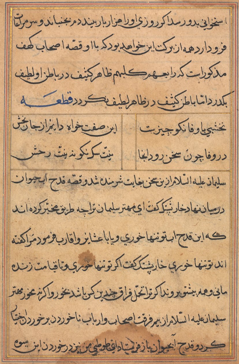 Página de Contos de um Papagaio Tuti-nama: página de texto, c. 1560. de Unbekannt