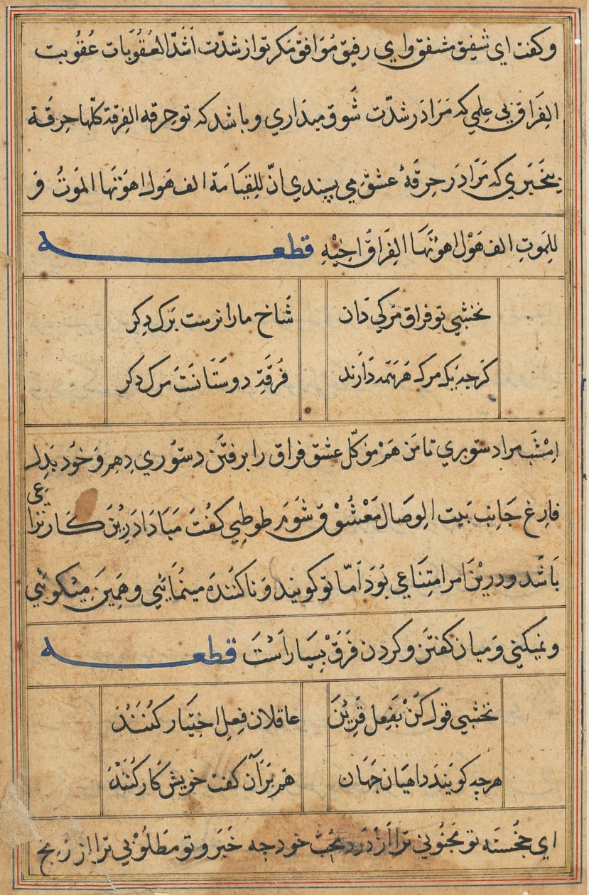Página de Contos de um Papagaio Tuti-nama: página de texto, c. 1560. de Unbekannt