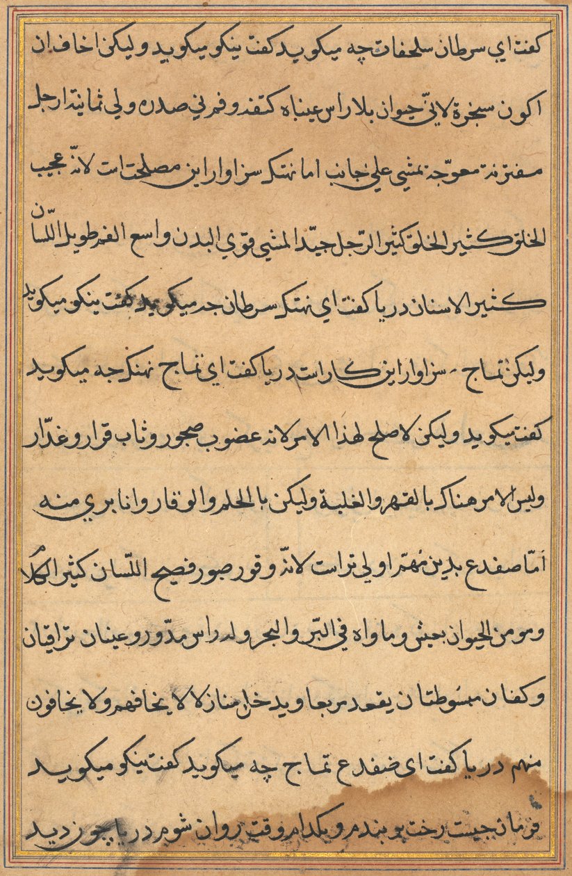 Página de Contos de um Papagaio Tuti-nama: página de texto, c. 1560. de Unbekannt