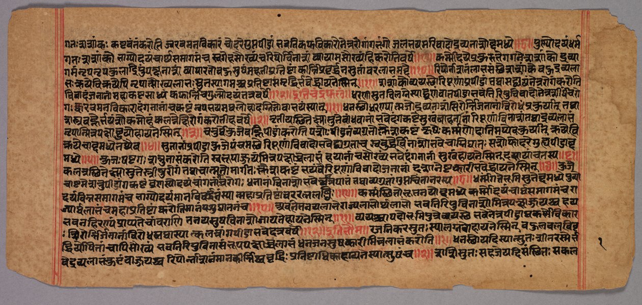 Página de um manuscrito de Jaina, 1400s-1500s. de Unbekannt