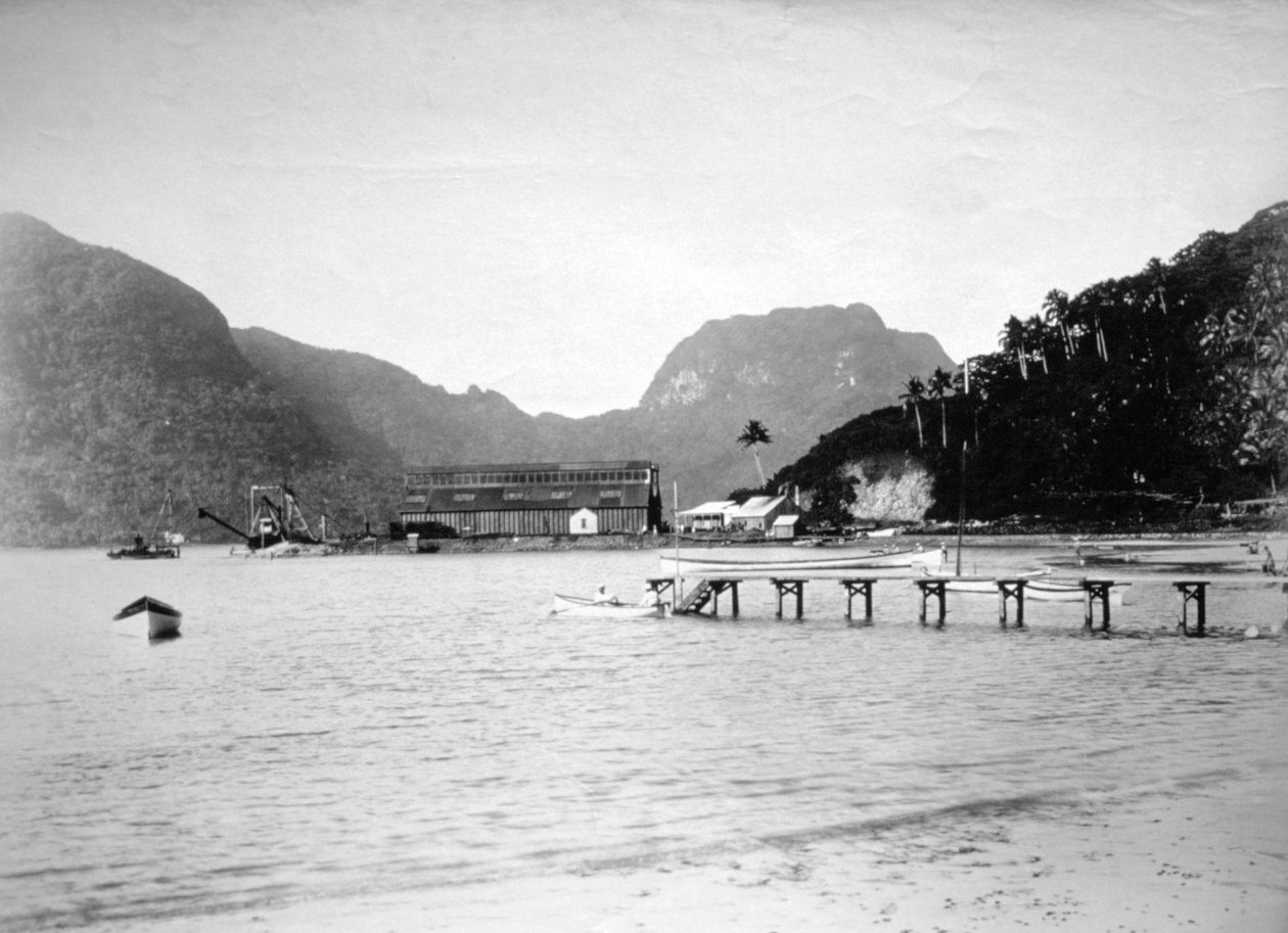 Pago Pago Harbour, na ilha de Tutuila, Samoa Americana, 1889 de Unbekannt