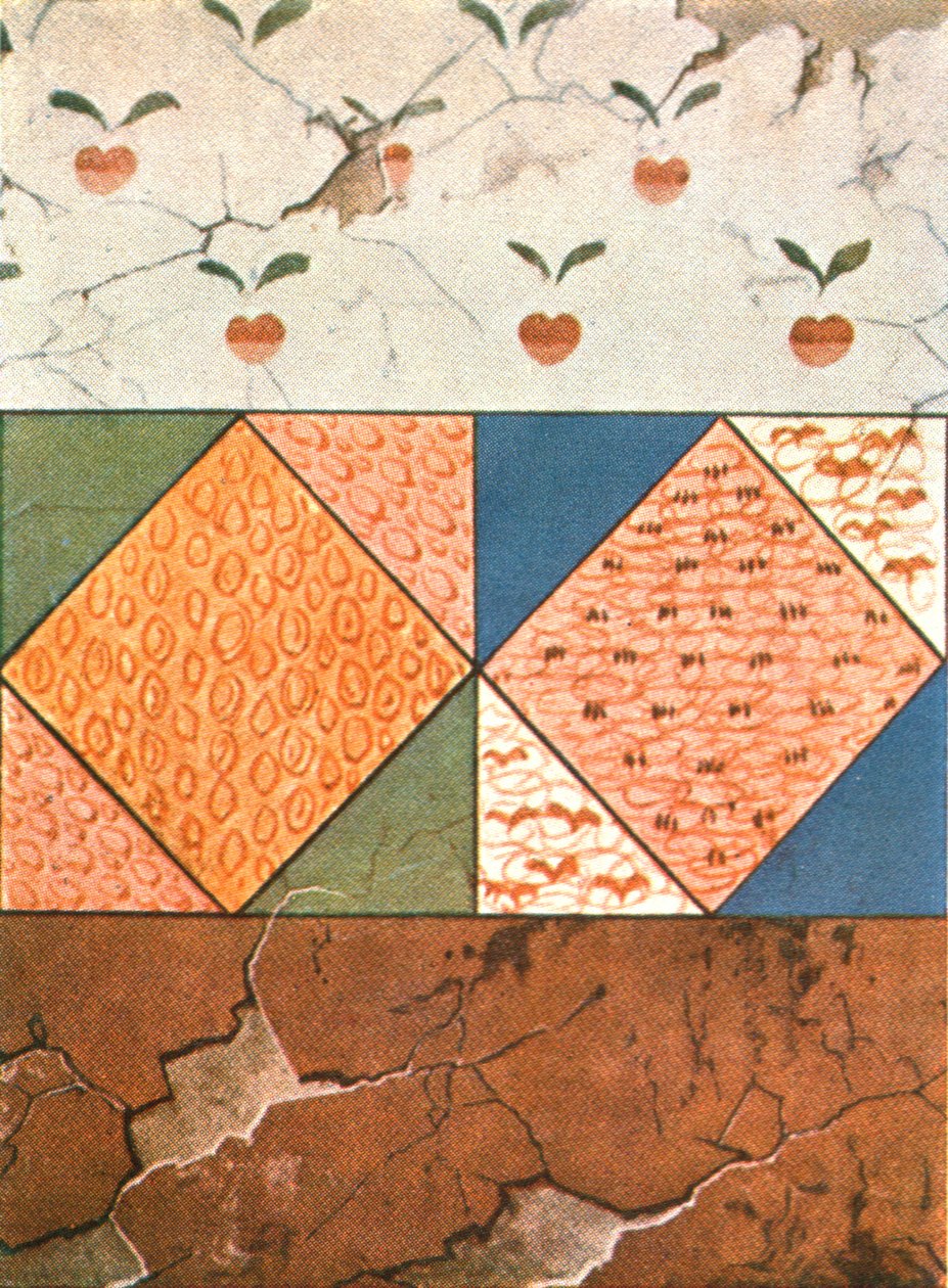 Decoração pintada na Cripta de Stasovsky, Bósforo cimério, Kerch, 1928. de Unbekannt