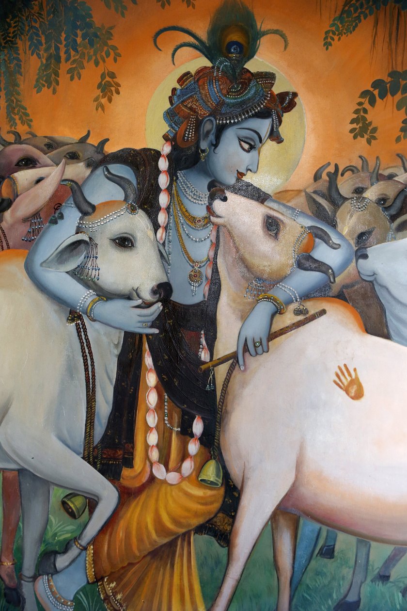 Pintura retratando o deus hindu Krishna abraçando vacas. Índia de Unbekannt