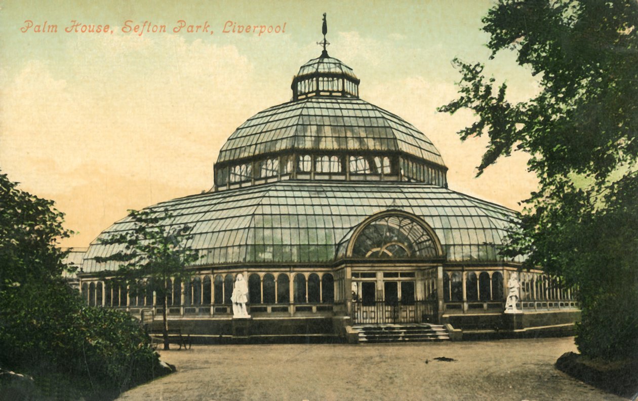 Palm House, Sefton Park, Liverpool, 1946. de Unbekannt