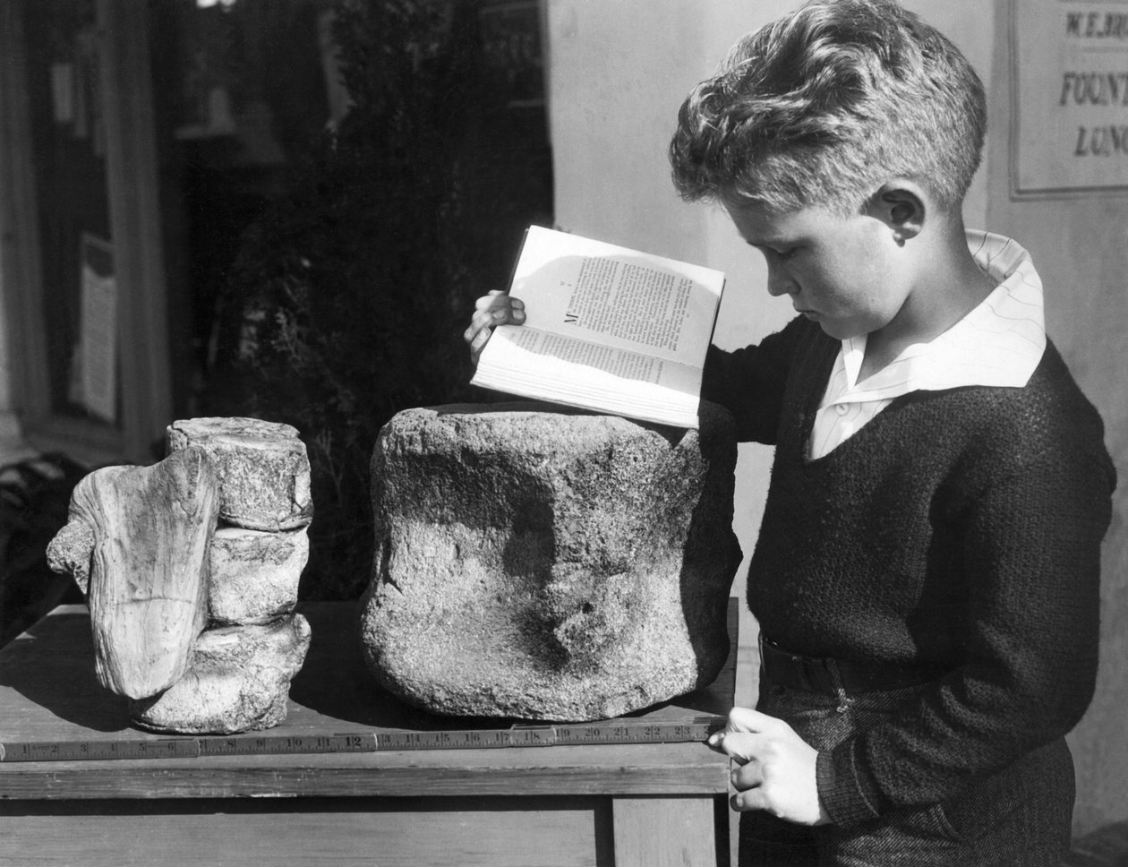 Palos Verdes, Califórnia: c.1927 Um menino estuda arqueologia com o uso de uma vértebra pré-histórica fossilizada encontrada nas colinas próximas. (foto a p/b) de Unbekannt