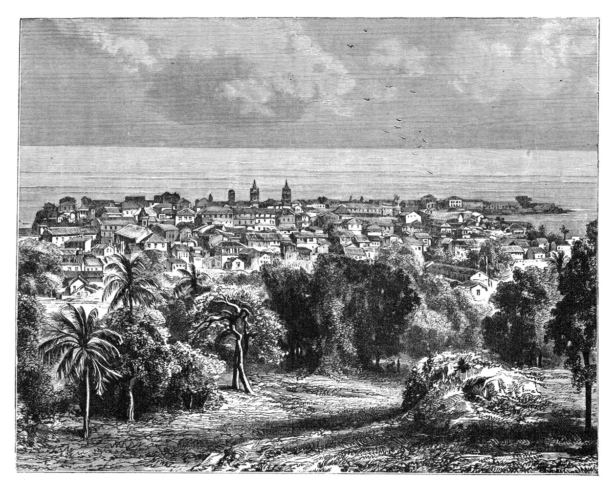 Cidade do Panamá do Monte Ancon, c1890 de Unbekannt