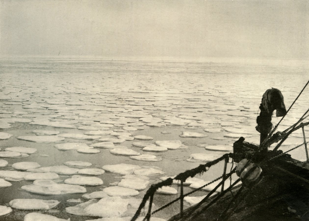 Panqueca de gelo no mar de Ross, c1908, 1909. de Unbekannt