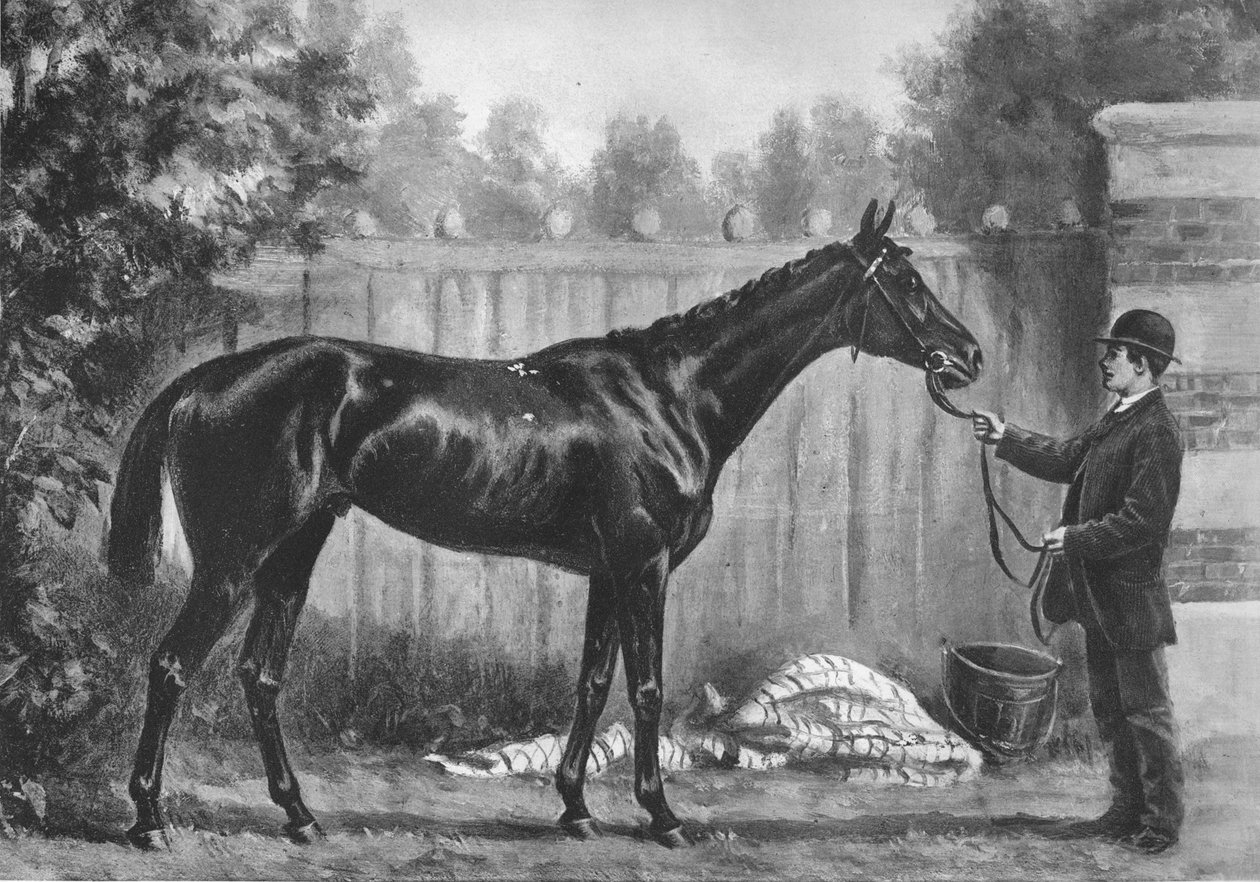 Paradoxo, 1882-1890, 1911 de Unbekannt