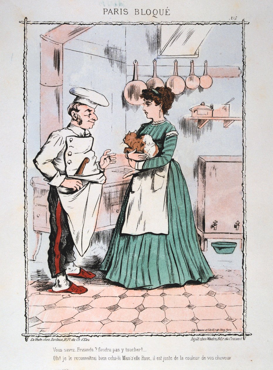 Paris sitiada, 1870-1871. de Unbekannt