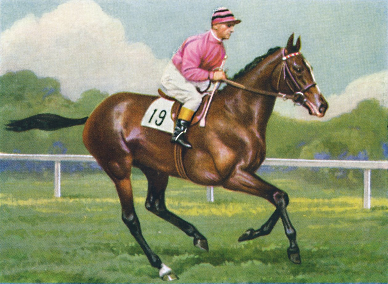 Pasch, Jóquei: G. Richards, 1939 de Unbekannt