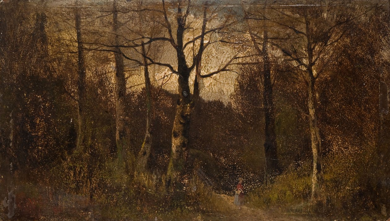 Caminho através de uma floresta, 1900. de Unbekannt