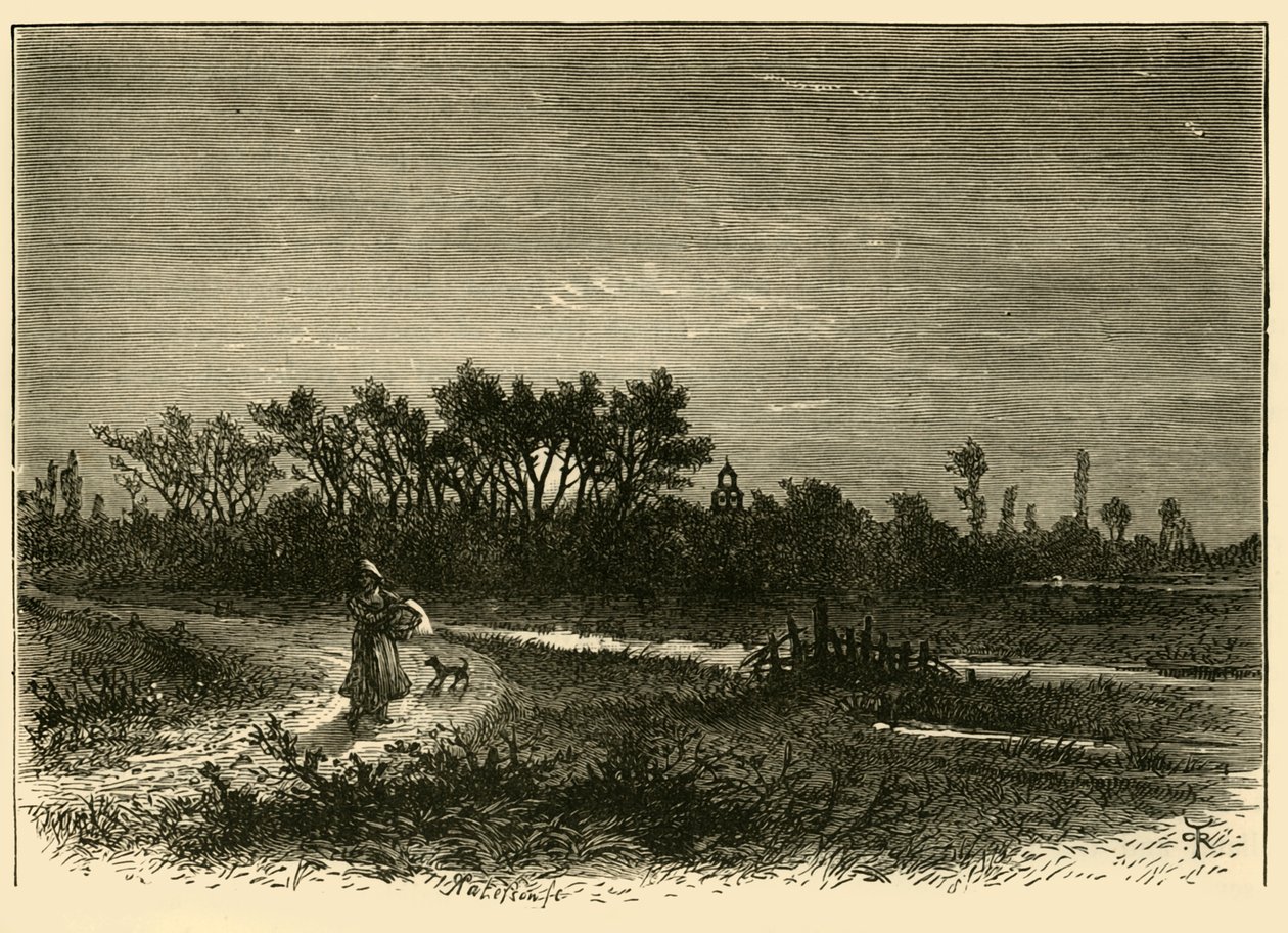Peakirk, do corte, 1898. de Unbekannt