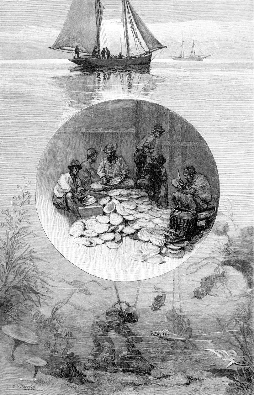 Pesca com Pérolas, Estreito de Torres, Austrália, 1886 de Unbekannt