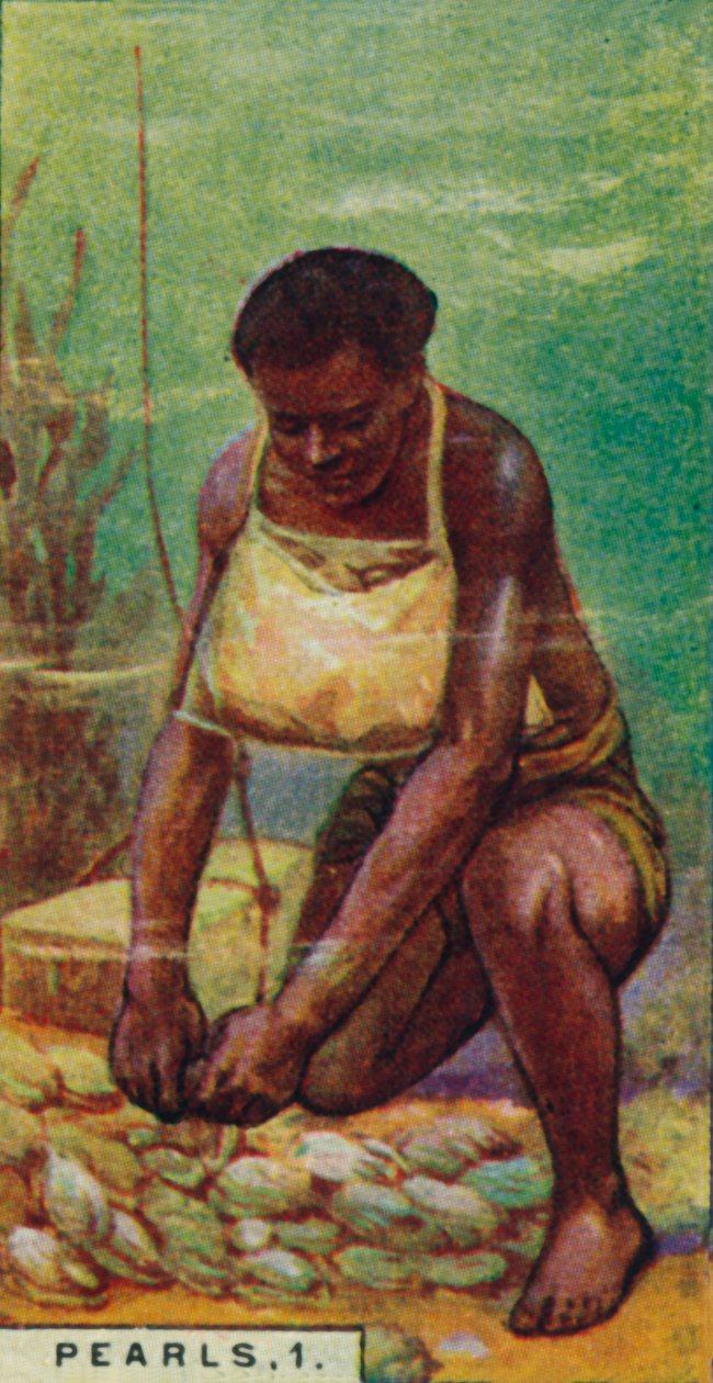 Pérolas 1. Mergulhador nativo no trabalho, Ceilão, 1928 de Unbekannt