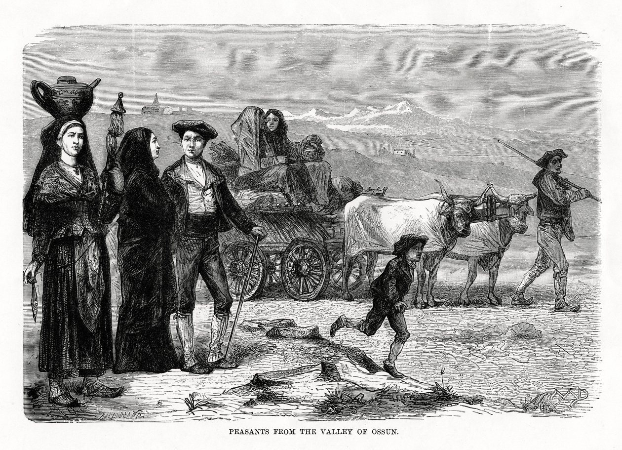 Camponeses do vale de Ossun, França, 1879 de Unbekannt