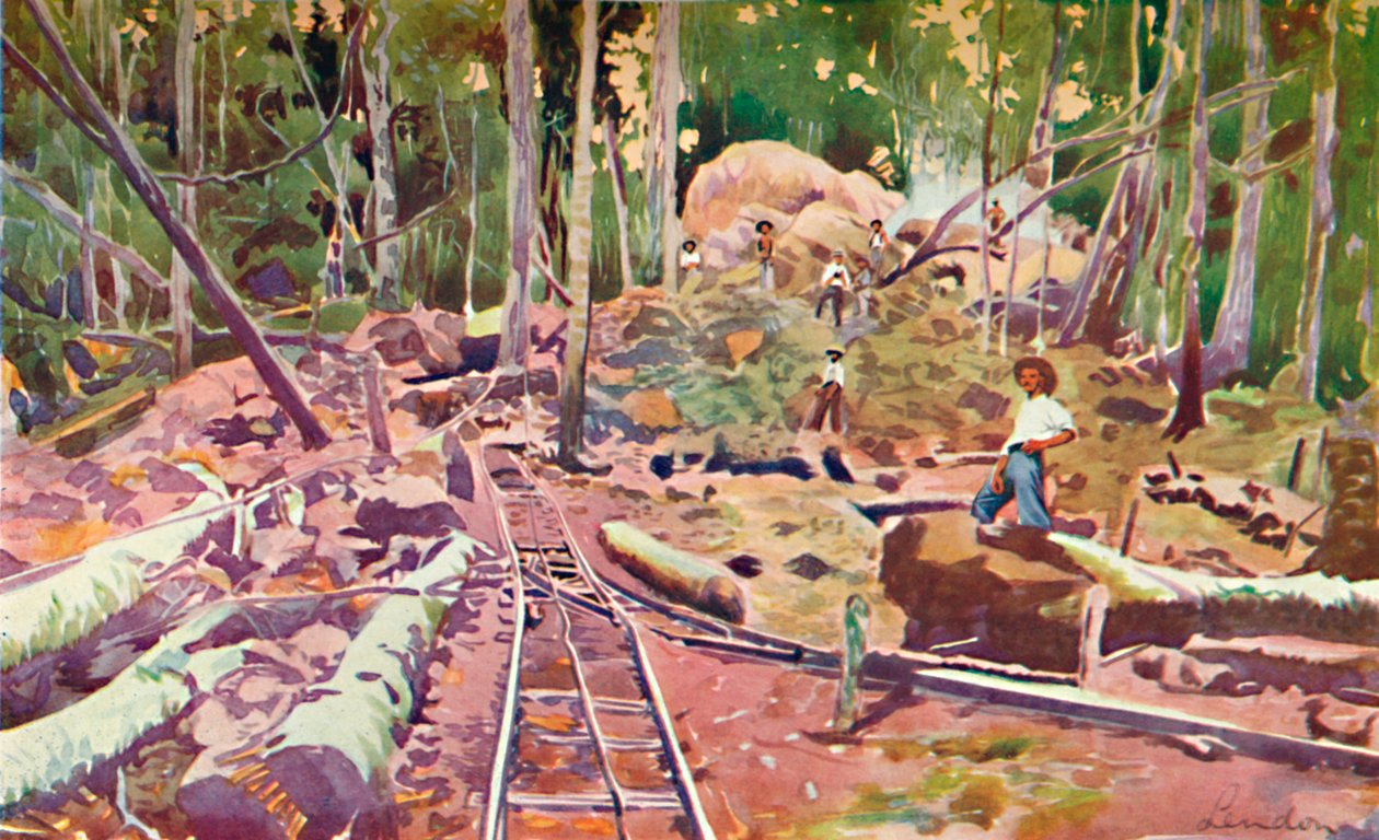 Penetrando na Floresta Amazônica - Ferrovia Madeira-Mamoré, 1914 de Unbekannt