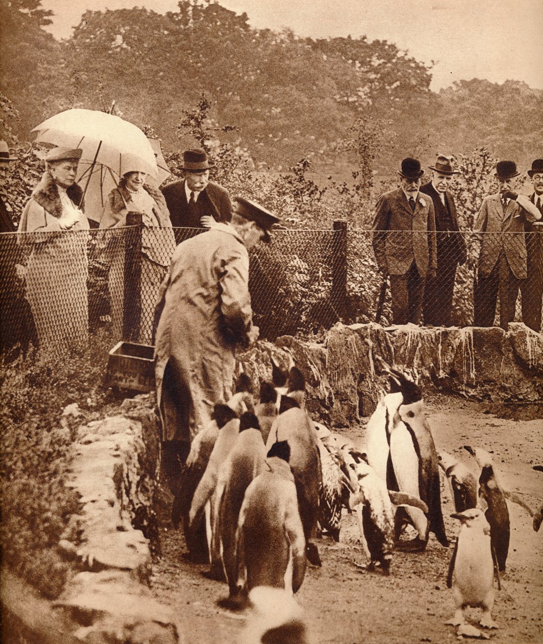 Pinguins em desfile pelo rei, 1934 1935 de Unbekannt