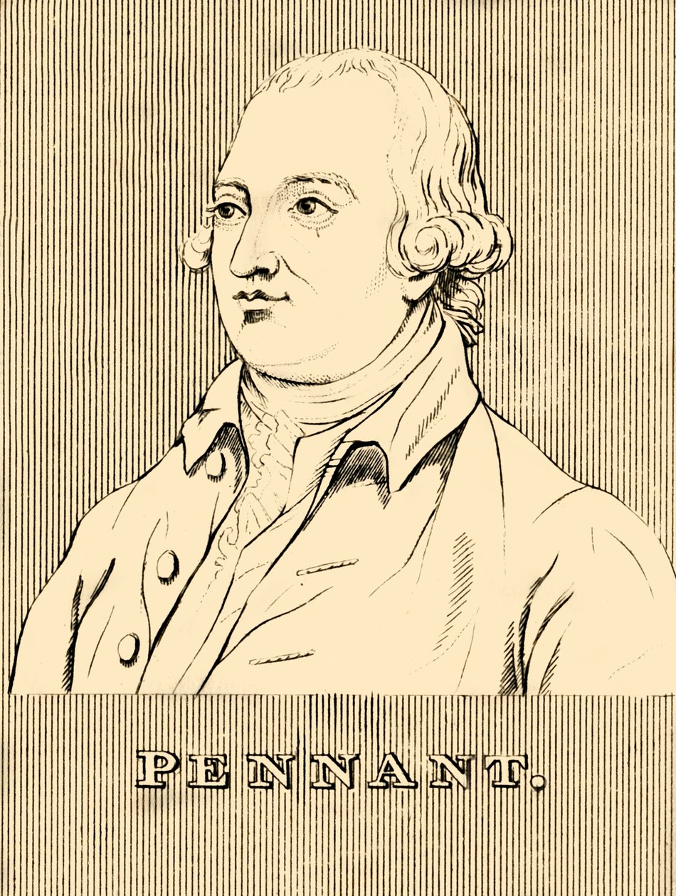 Pennant, 1726-1798, 1830. de Unbekannt