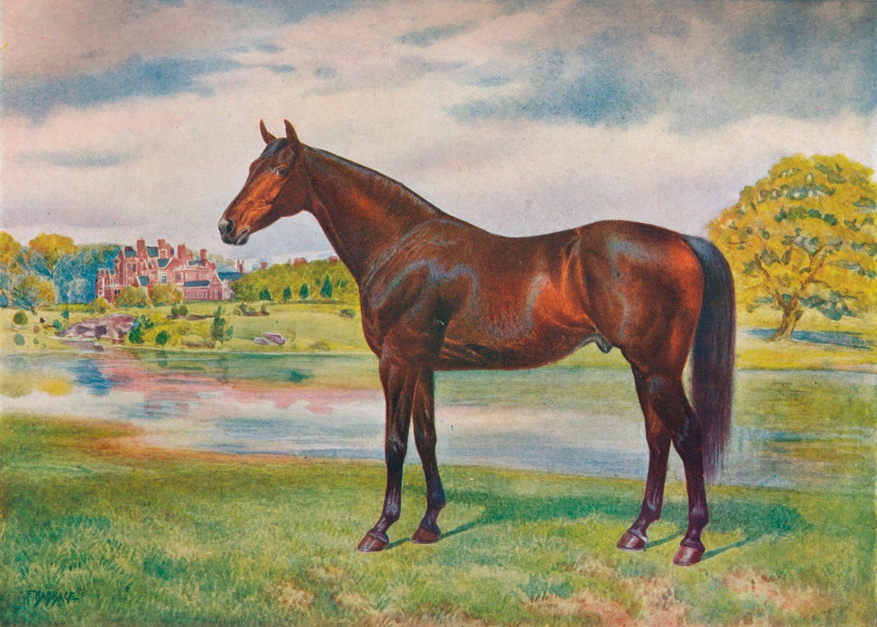 Caqui, c1905 c1910 de Unbekannt