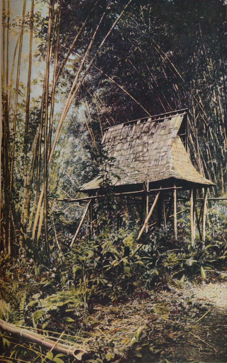 Ilhas Filipinas, c1930s de Unbekannt