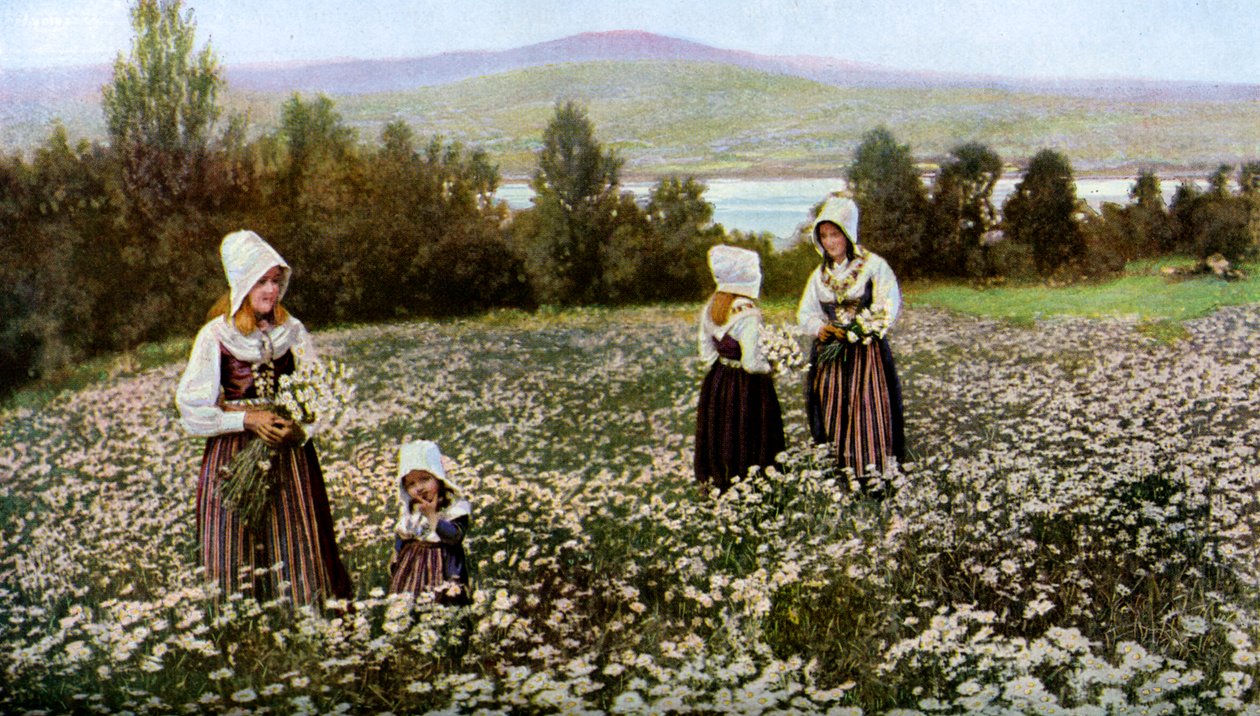 Colhendo flores em um prado perto de Leksand, Suécia, c1923 de Unbekannt