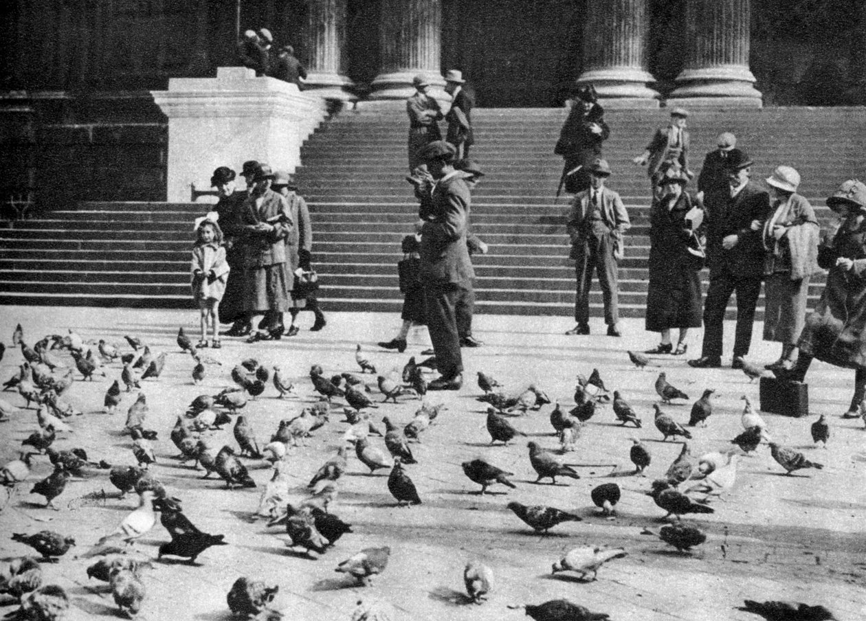 Pombos em Trafalgar Square, Londres, 1926-1927 de Unbekannt