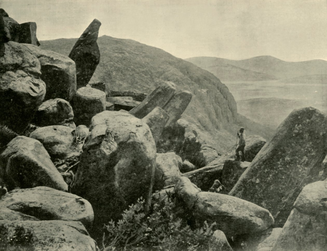 Pinnacle & Organ Pipes, Mount Wellington, 1901. de Unbekannt
