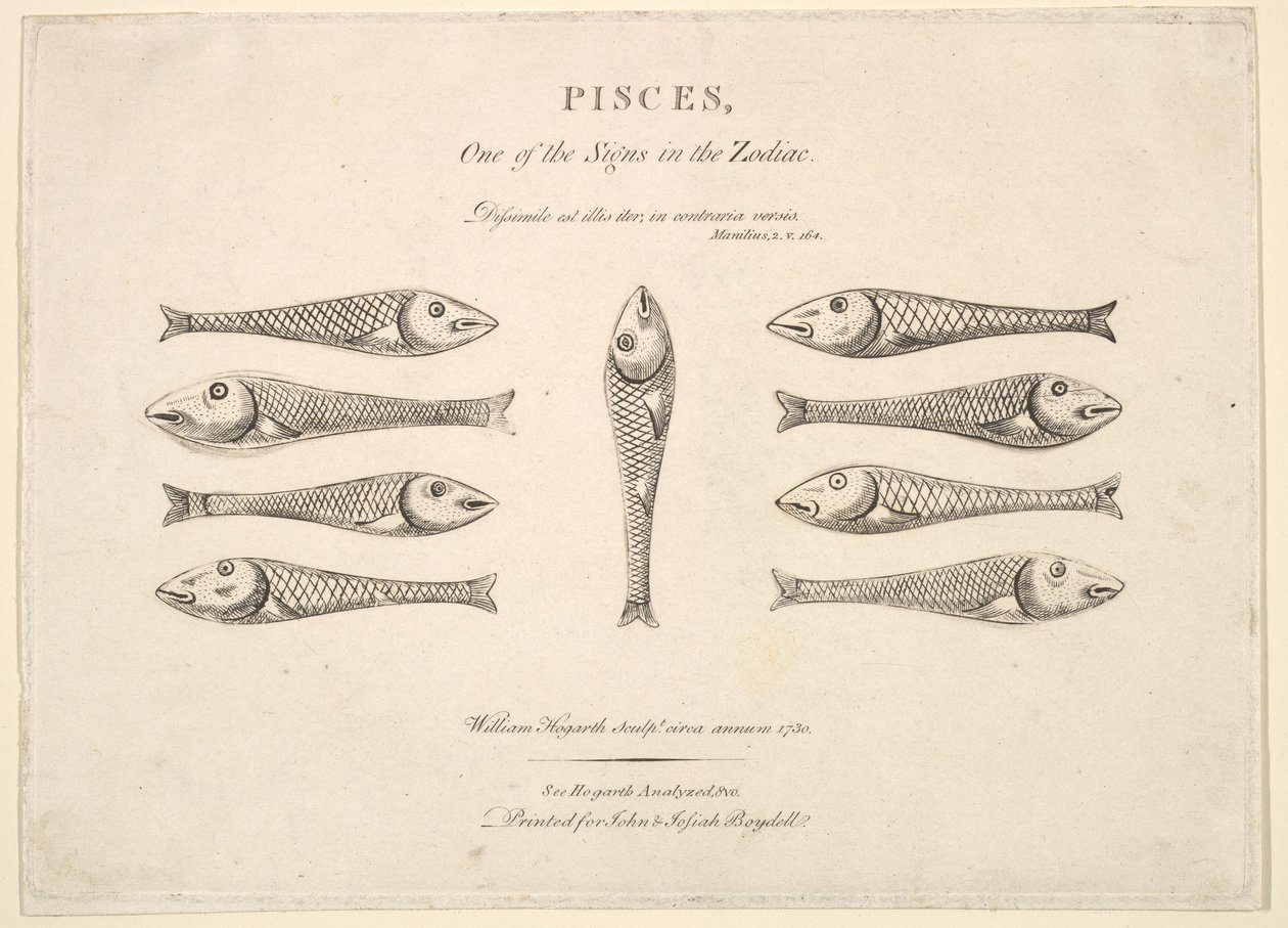 Peixes: Hogarths Quadrille Fish, ca. 1730 de Unbekannt