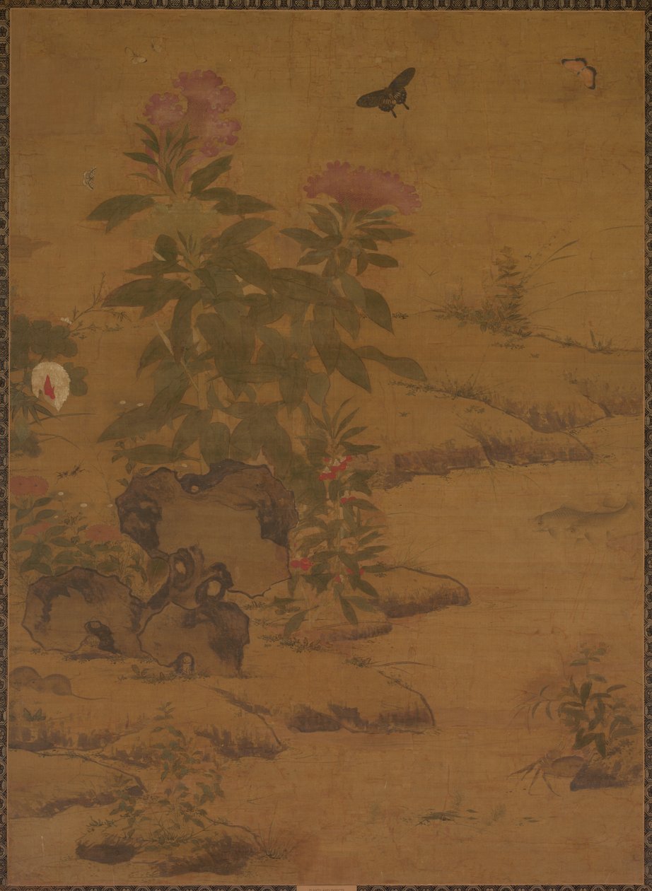 Plantas e insetos, 1368-1644. de Unbekannt