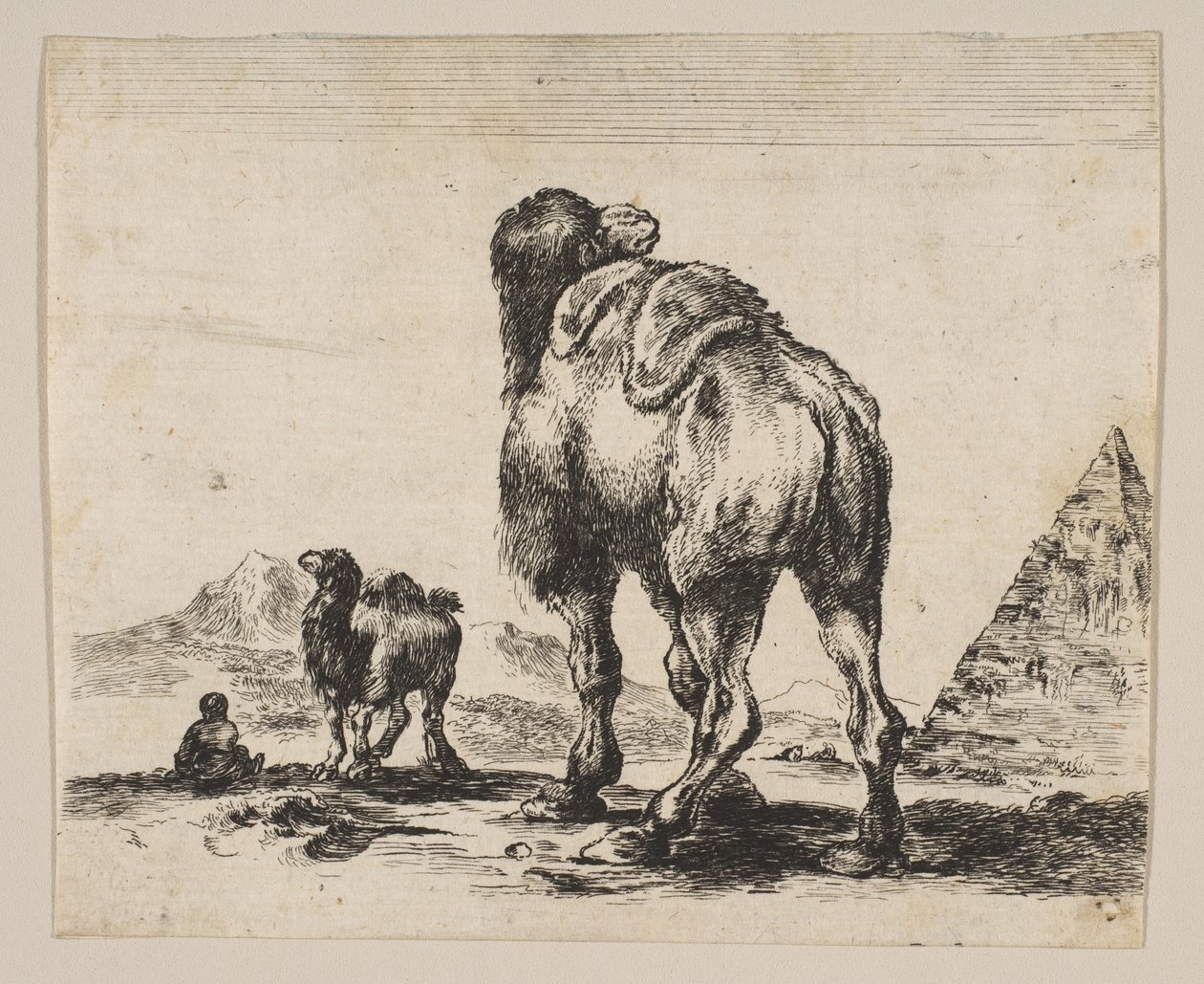 Ilustração 18: camelo visto de trás com pirâmide à direita, de Vários animais Di ..., depois de 1641. de Unbekannt