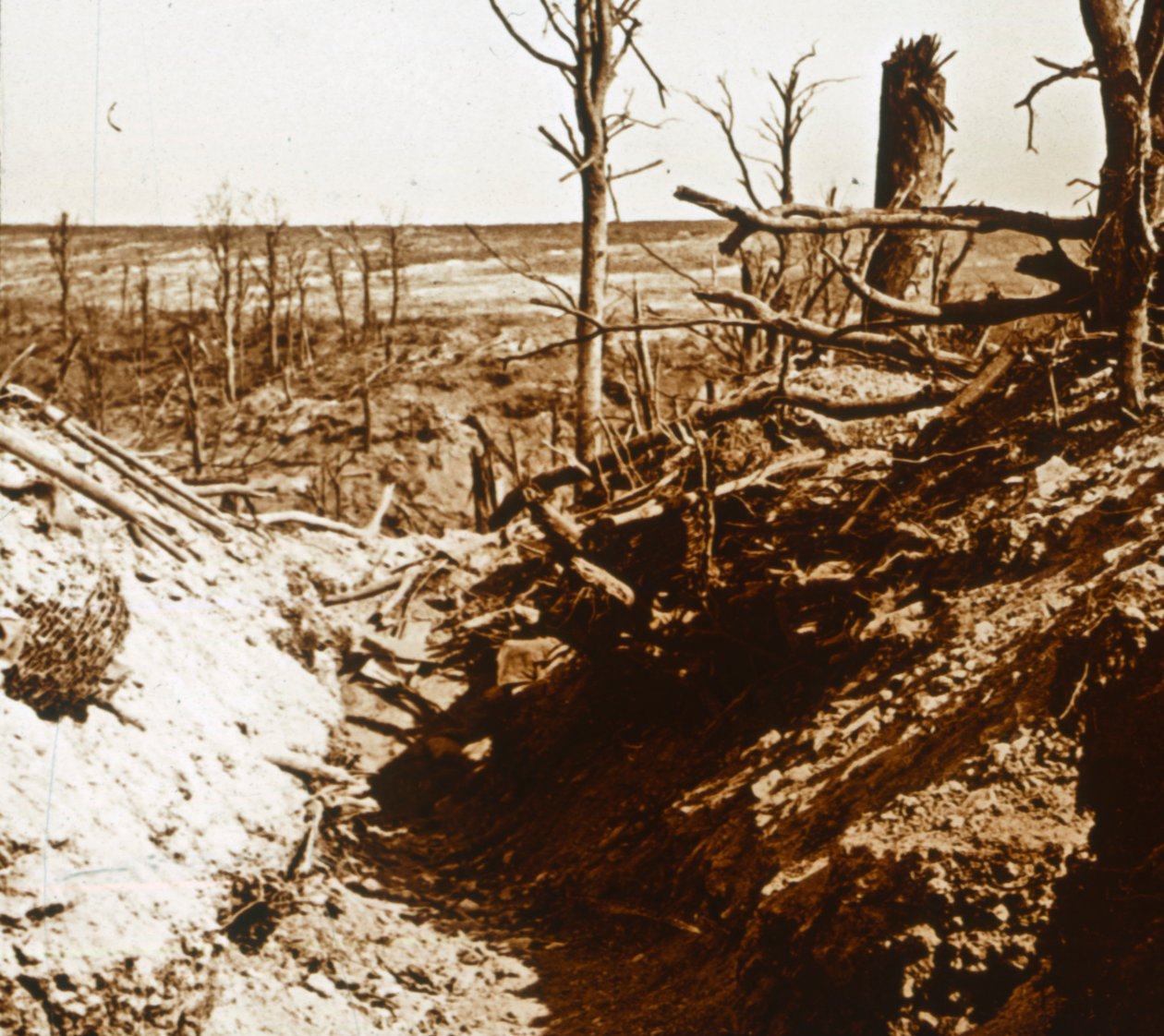 Planalto de Craonne, norte da França, c1914-c1918 de Unbekannt