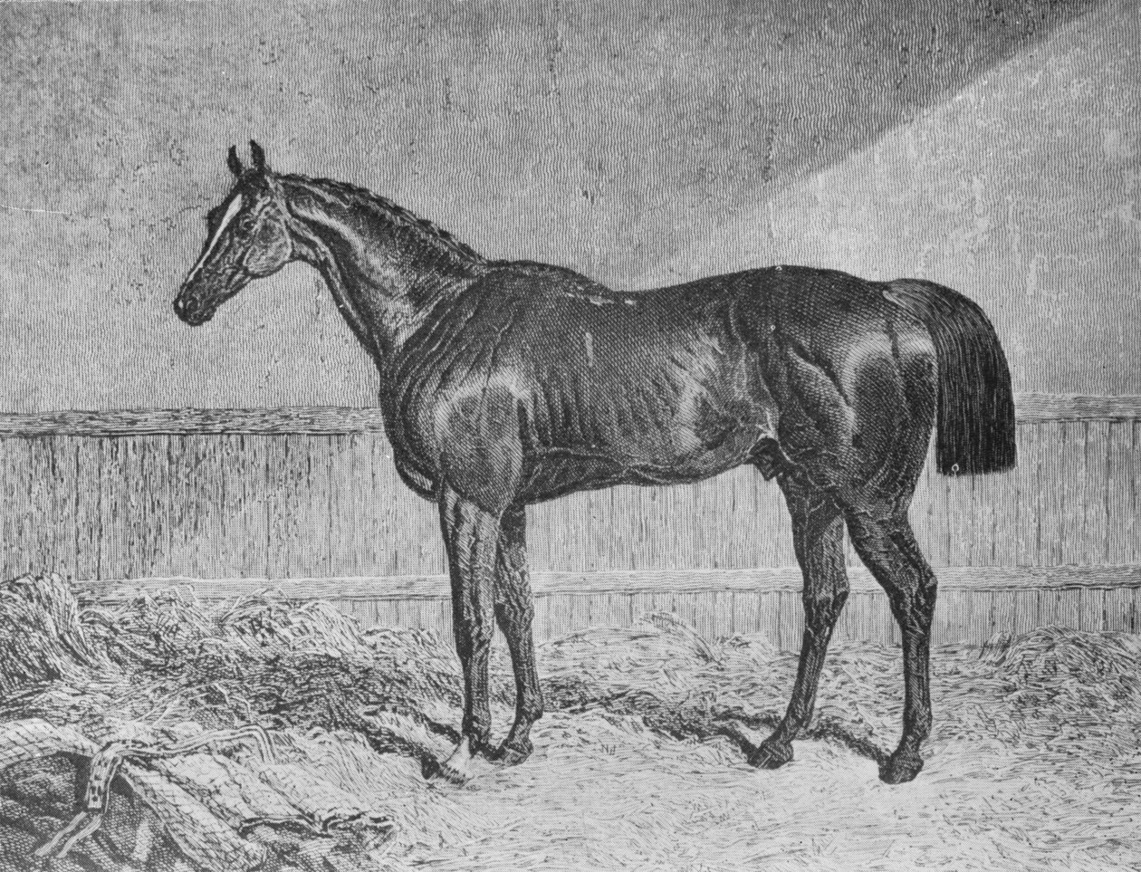Plenipotenciário, 1831-1854, 1911 de Unbekannt