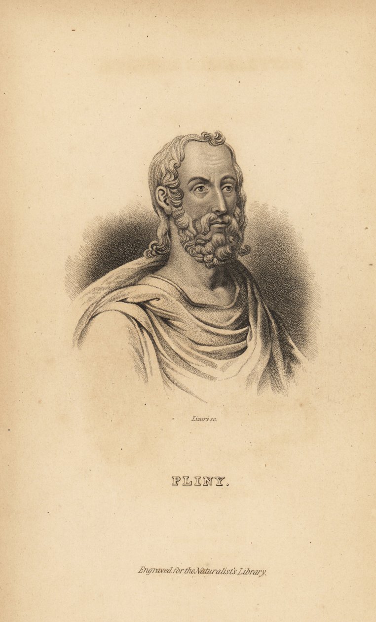 Plínio o Ancião, Gaius Plinius Secundus, autor romano, naturalista e filósofo natural, AD23-79 de Unbekannt