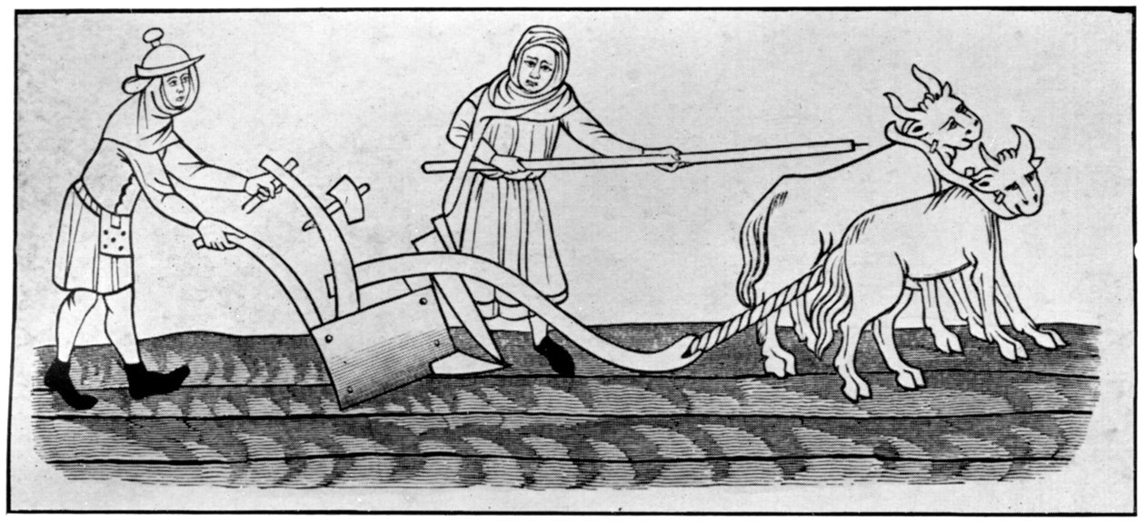 Aração, século XIV, 1910 de Unbekannt