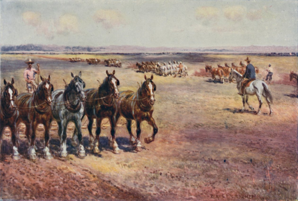 Arar em grande escala, 1923. de Unbekannt