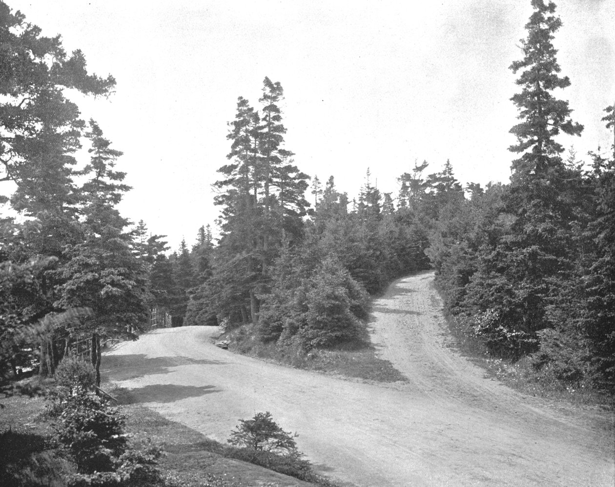 Point Pleasant Park, Halifax, Nova Escócia, Canadá, c1900. de Unbekannt