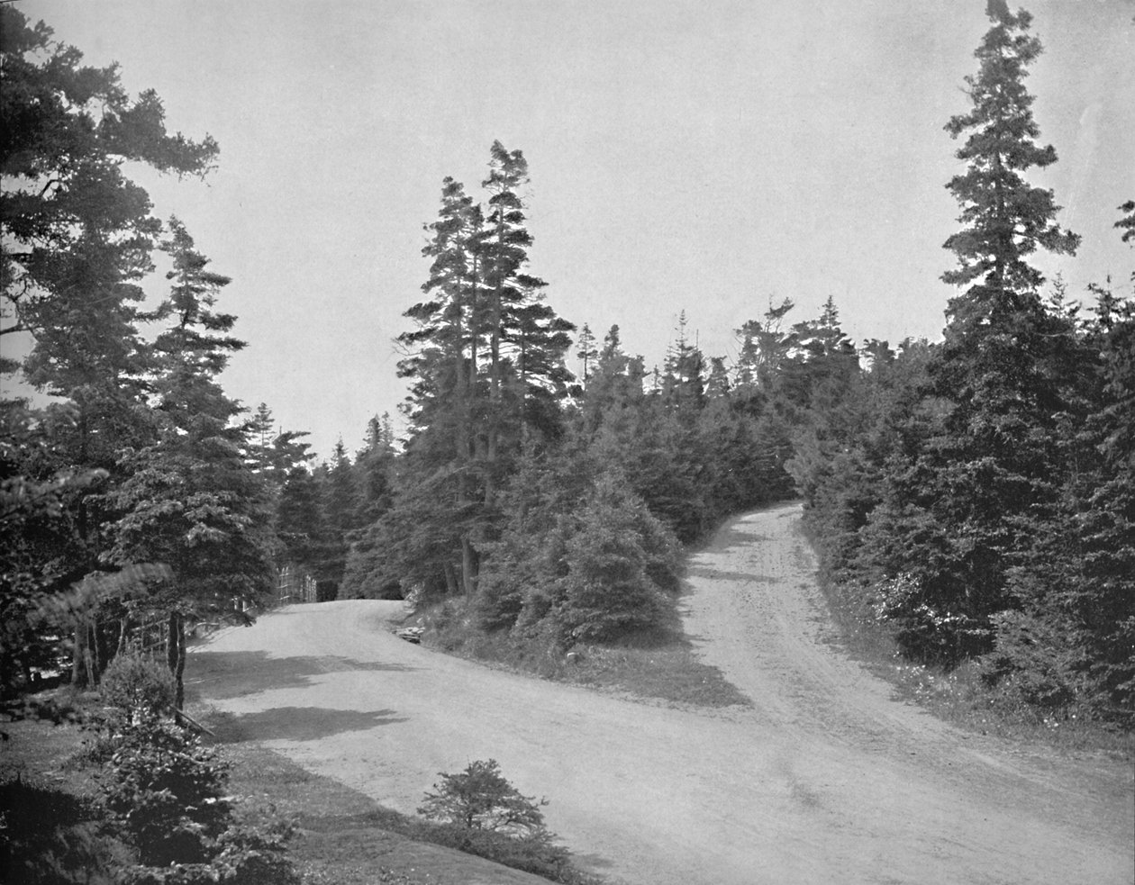 Aponte o parque agradável, Halifax, Nova Escócia, c1897. de Unbekannt