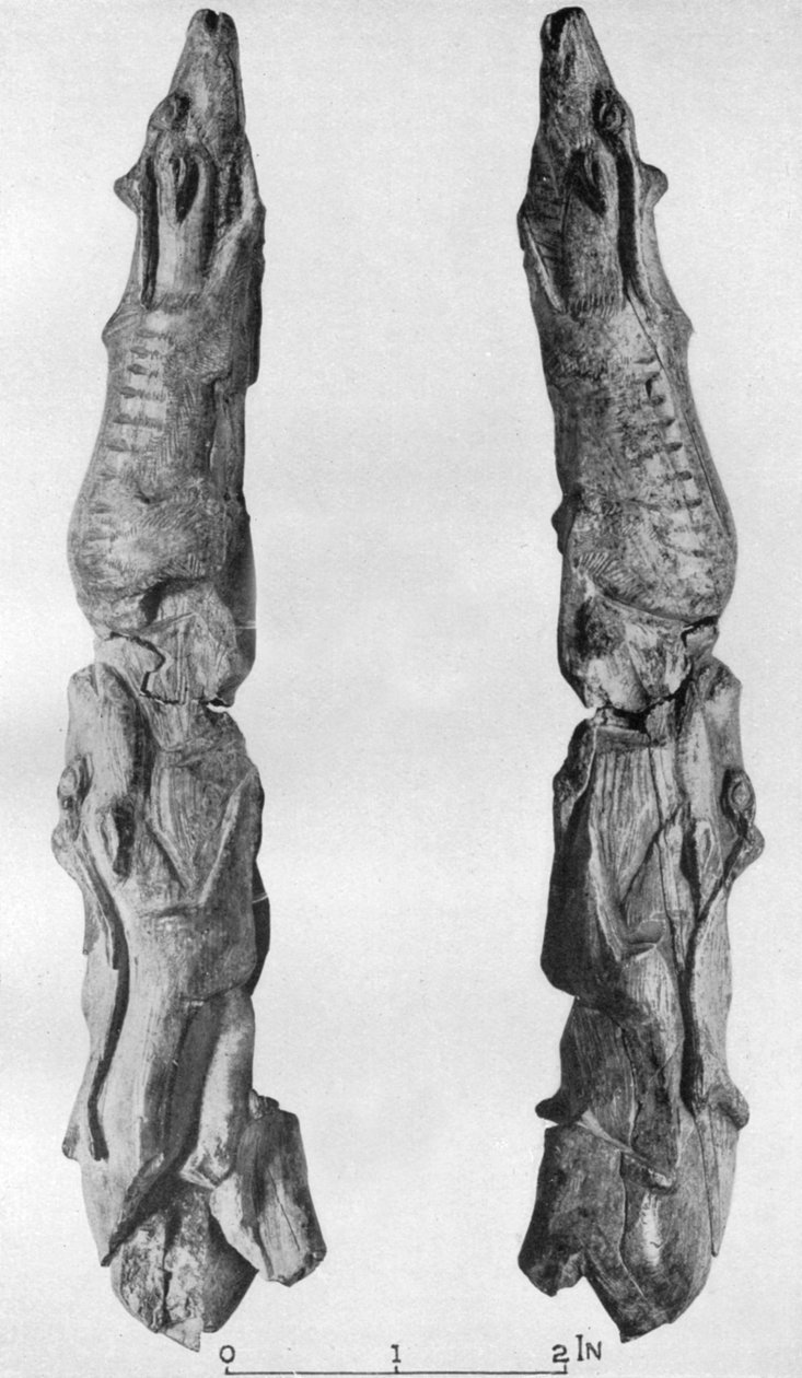 Ponto de bolota de mamute esculpida com renas, de Montastruc, Bruniquel, França, 1926 de Unbekannt
