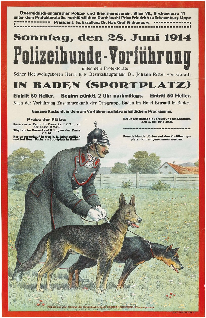 Demonstração do cão policial em Baden, 1914. de Unbekannt