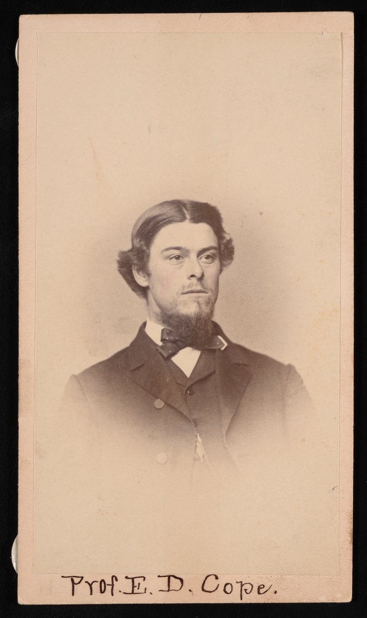 Retrato de Edward Drinker Cope 1840-1897, por volta de 1860. de Unbekannt