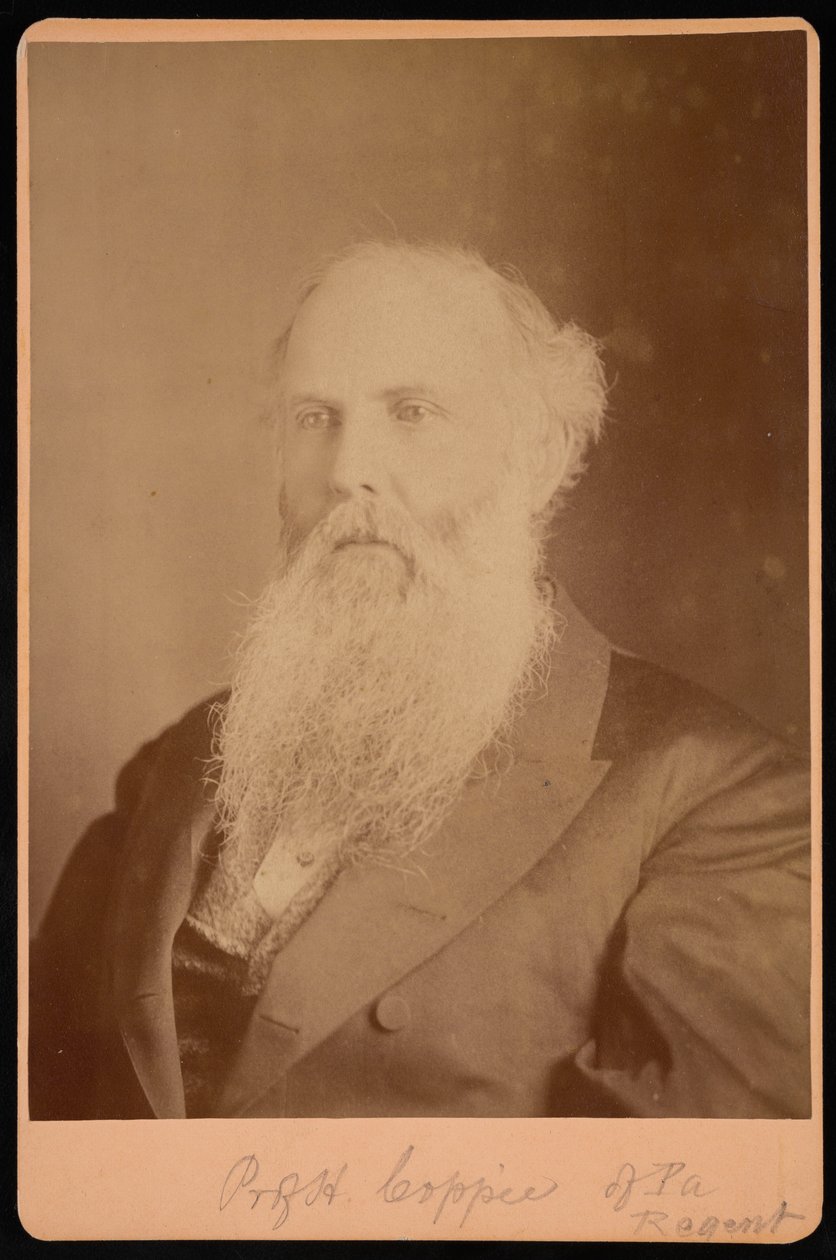 Retrato de Henry Coppee 1821-1895, 1875. de Unbekannt