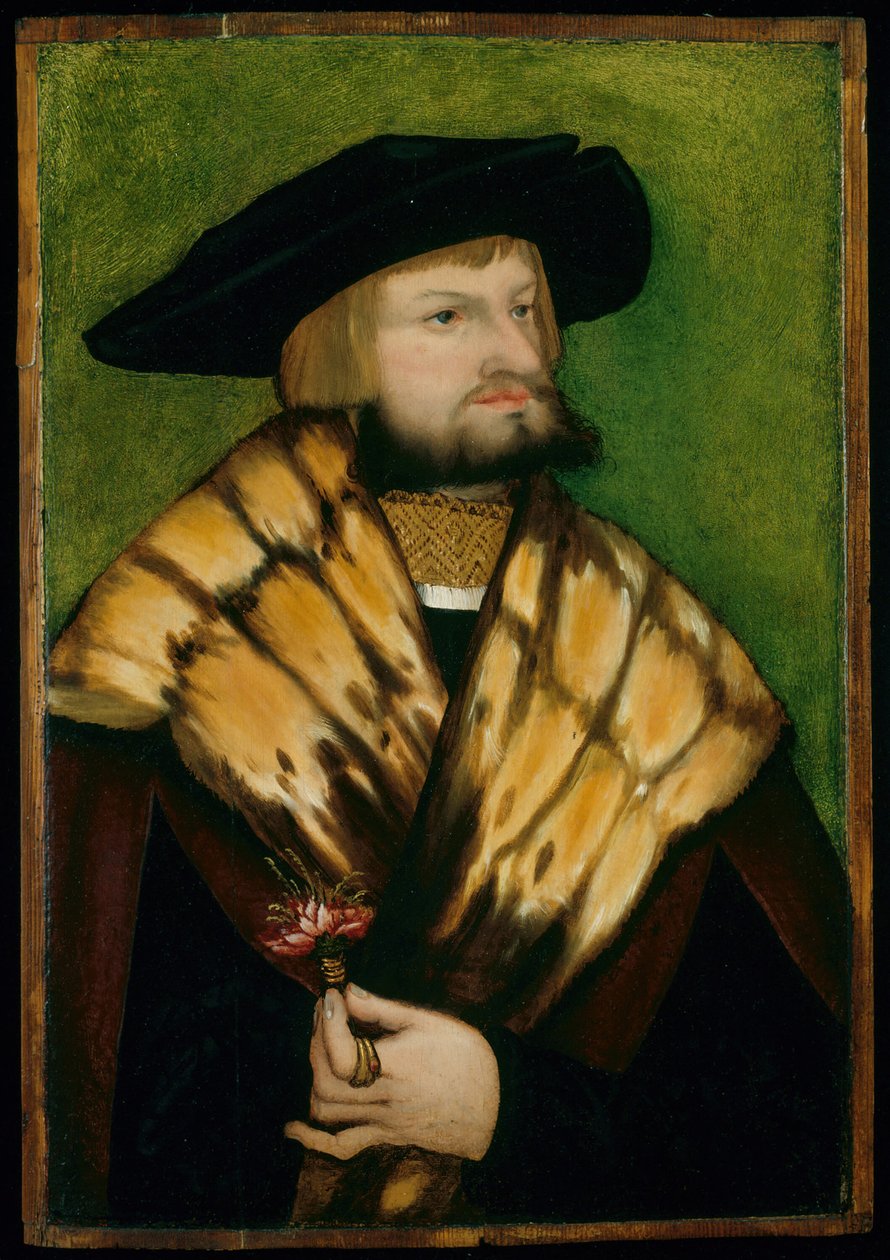 Retrato de Leonhard Fuchs, 1525. de Unbekannt