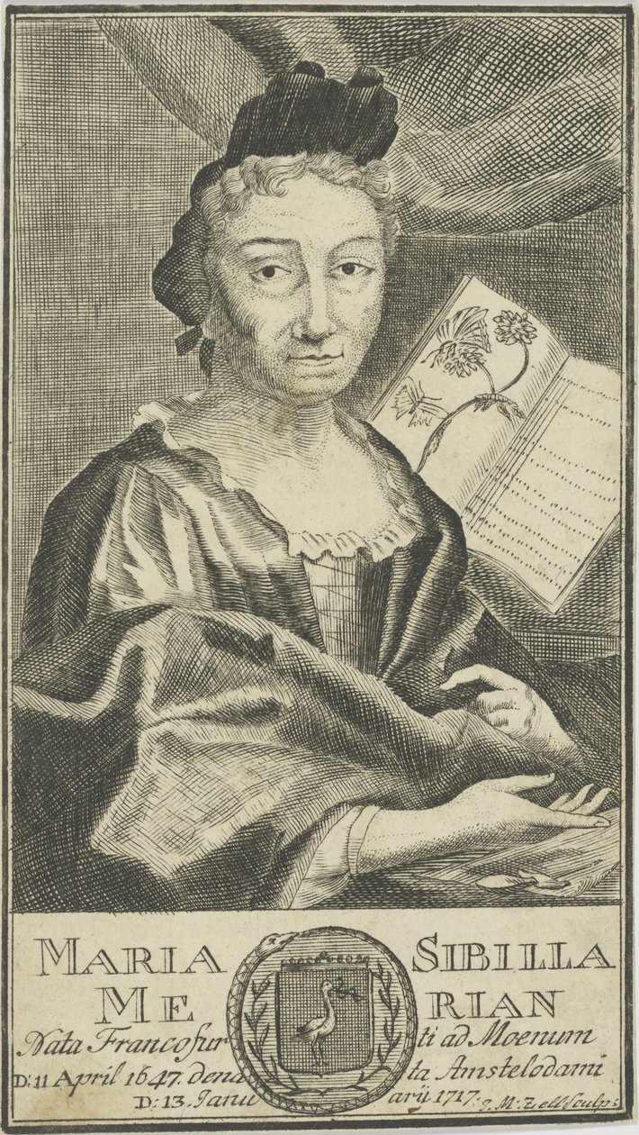 Retrato de Maria Sibylla Merian 1647-1717, 1755. de Unbekannt