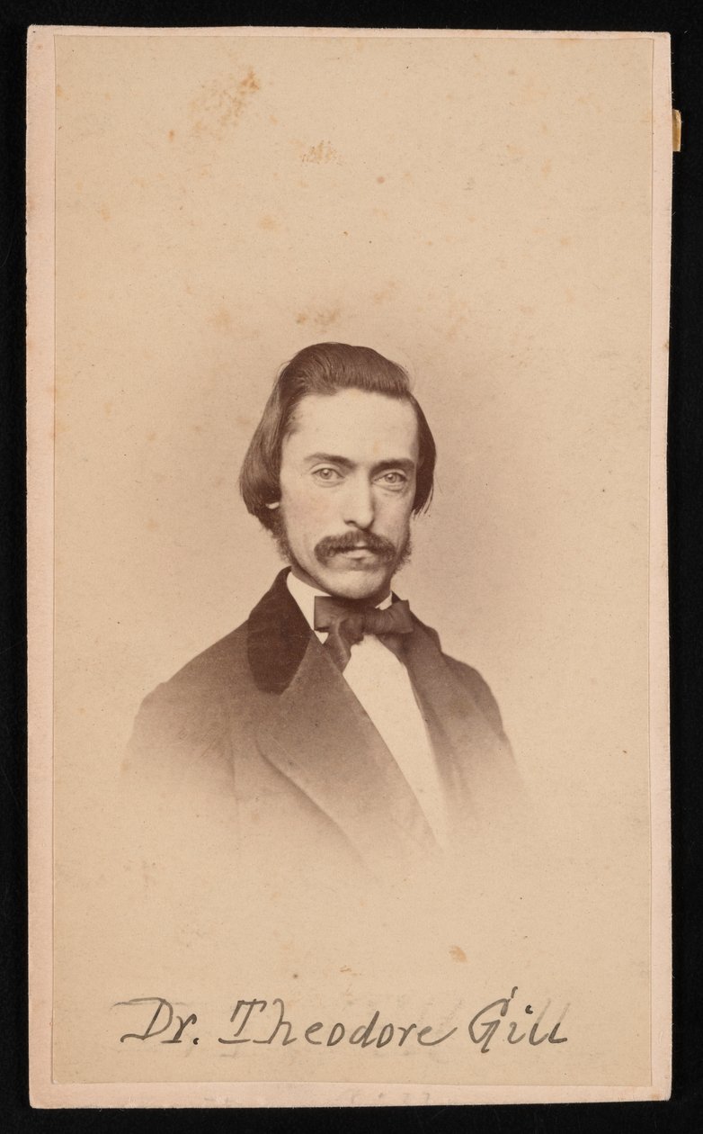 Retrato de Theodore Nicholas Gill 1837-1914, por volta de 1860. de Unbekannt