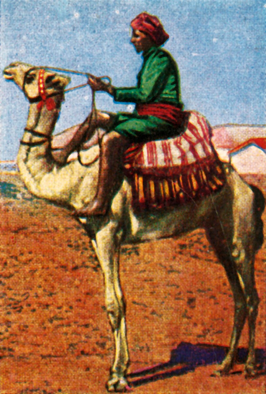 Correio entregue por camelo, Arábia, c1928. de Unbekannt