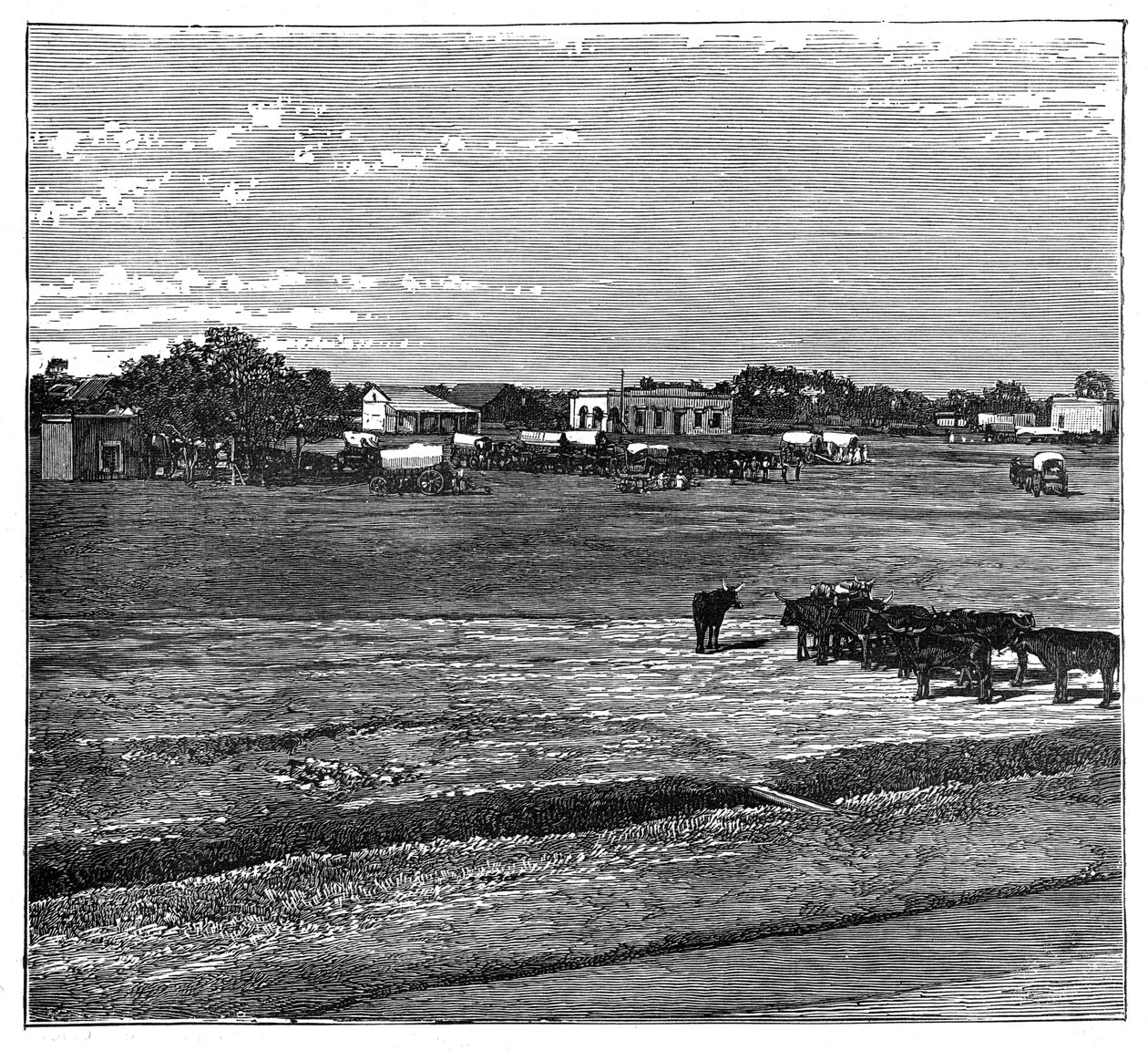 Potchefstroom, o Transvaal, África do Sul, c1890 de Unbekannt